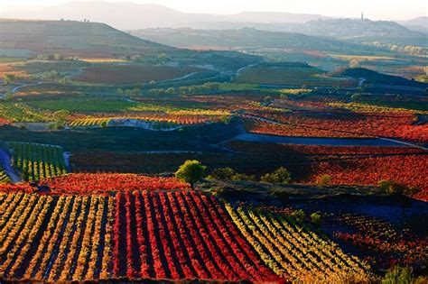 contactos en la rioja